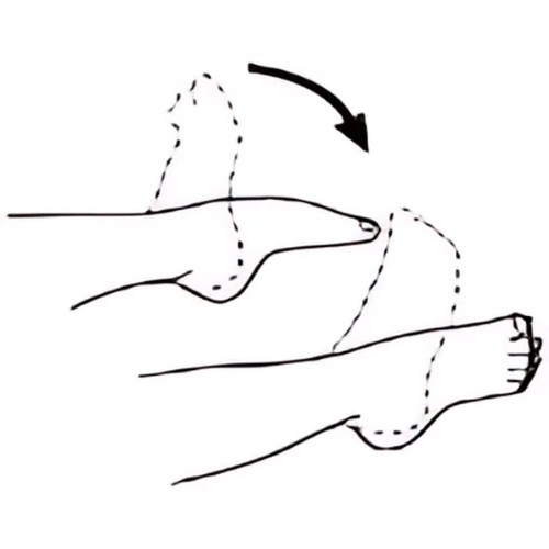 Copy of Untitled Design.png